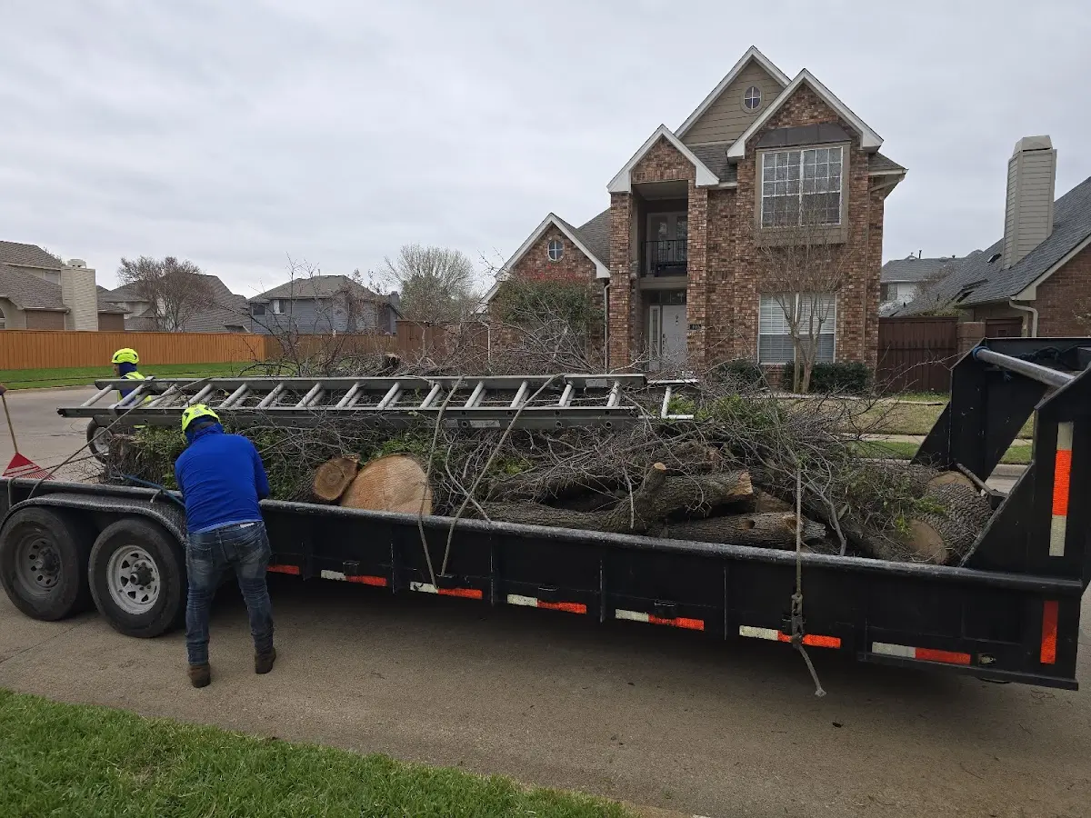 Expert Tree Removal with proper safety equipment in Charlotte